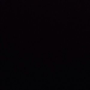 Meet your Posher, Deantae